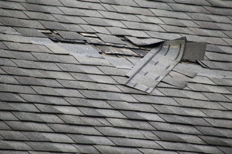 Shingle Damage Assessment
