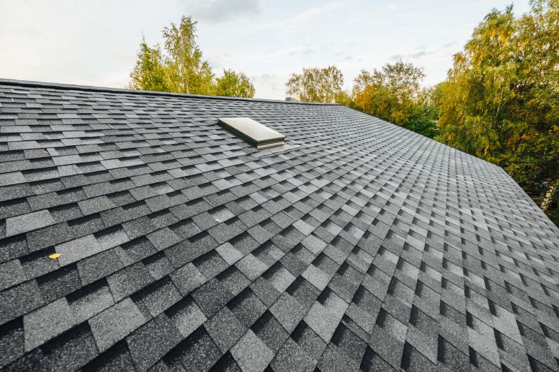 Roof Shingles Replacement detail